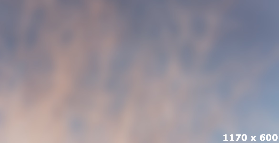 A Forest Is Full Of Beautiful Trees For The Beholding But No Rules